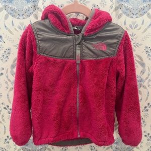 The North Face Oso Fleece Zip Hoodie